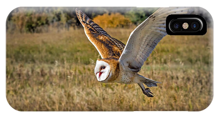 Barn Owl iPhone X Case featuring the photograph Barn Owl Flight 6 by Dawn Key
