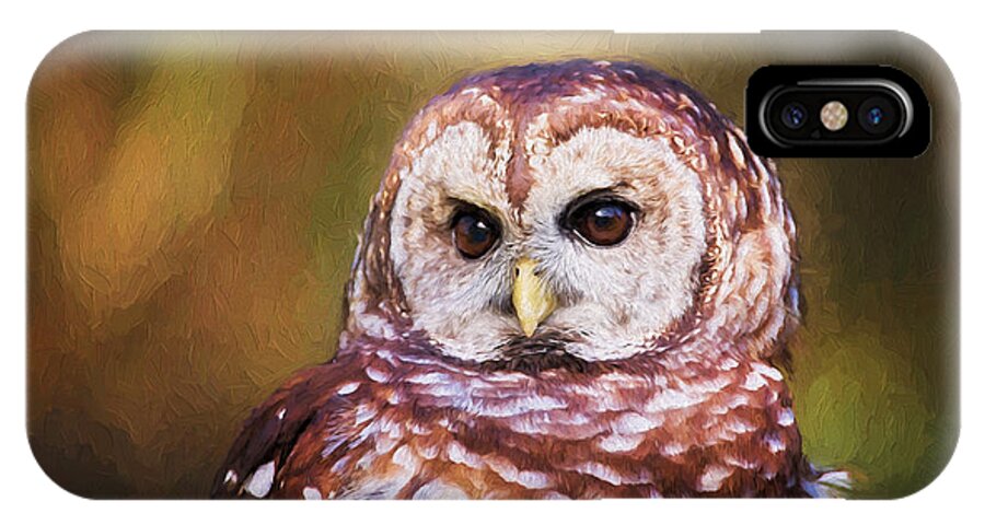 Nature iPhone X Case featuring the photograph Barred Owl Portrait by Sharon McConnell