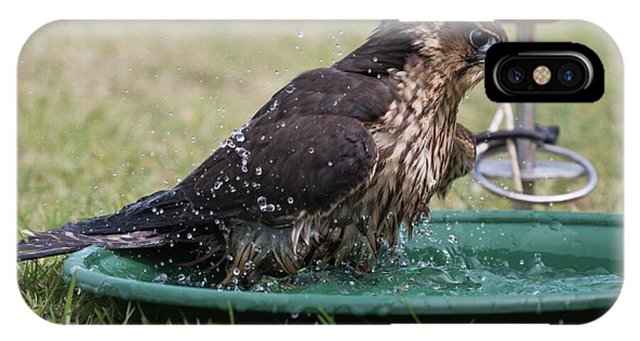 Hawk iPhone X Case featuring the photograph Bath Time by Terri Waters