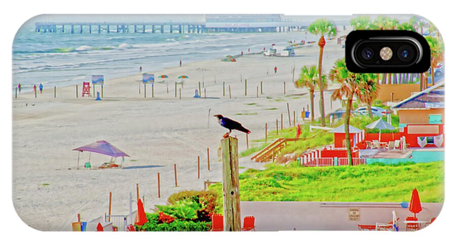 Beach Bird iPhone X Case featuring the photograph Beach Bird on a Pole by Gina O'Brien
