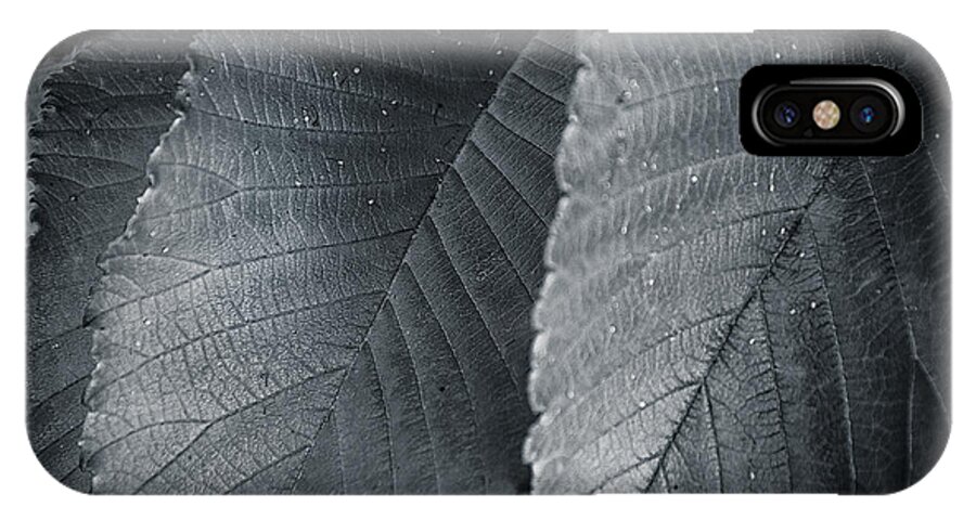Detail iPhone X Case featuring the photograph Beautiful Detail by Andy Smetzer
