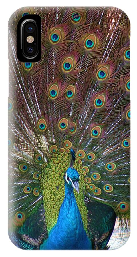  Peacock iPhone X Case featuring the photograph Beautiful Peacock by Tina Meador