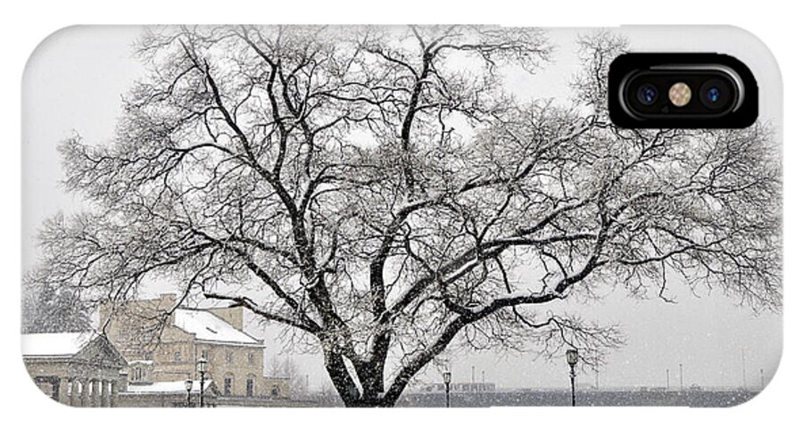 Beautiful Tree iPhone X Case featuring the photograph Beautiful snow tree by Andrew Dinh