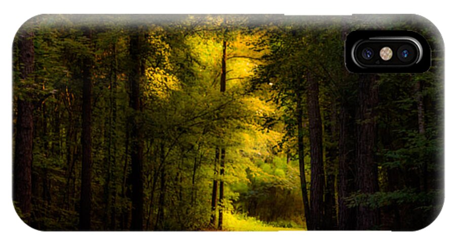 Path iPhone X Case featuring the photograph Beauty in the Forest by Parker Cunningham