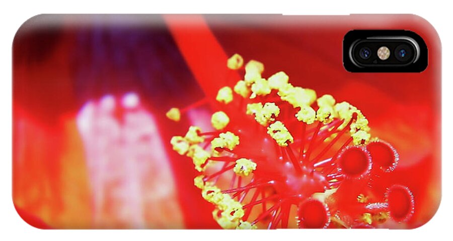 Hibiscus iPhone X Case featuring the photograph Beauty Within by D Hackett