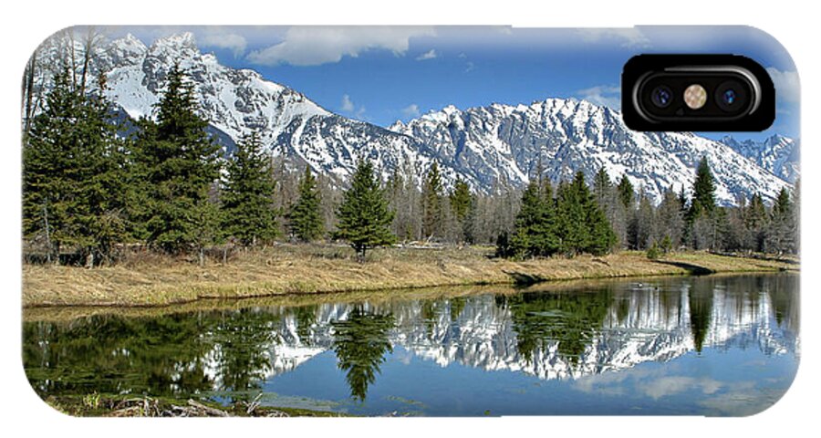 Beaver iPhone X Case featuring the photograph Beaver Dam by Ronnie And Frances Howard