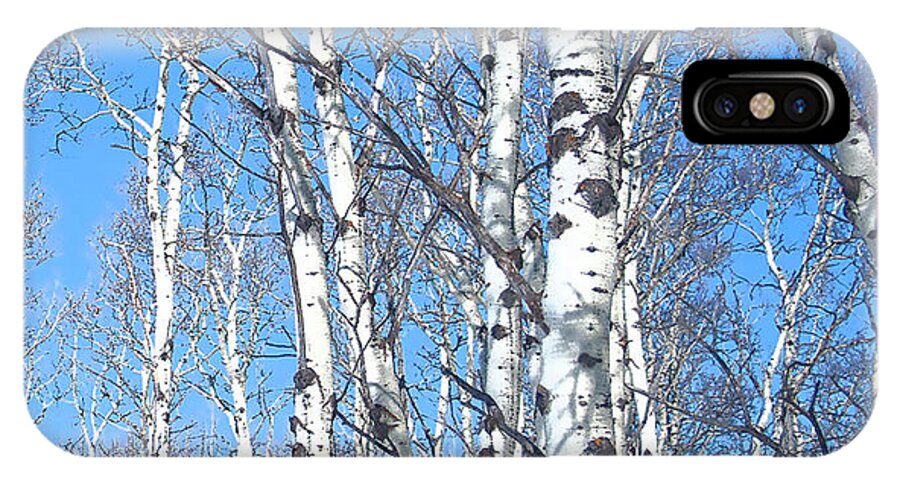 #print #photograph #nature #yamnuska #cochranealberta #zeus #snow #birchtrees #outdoors iPhone X Case featuring the photograph Birch Sky by Jacquelinemari