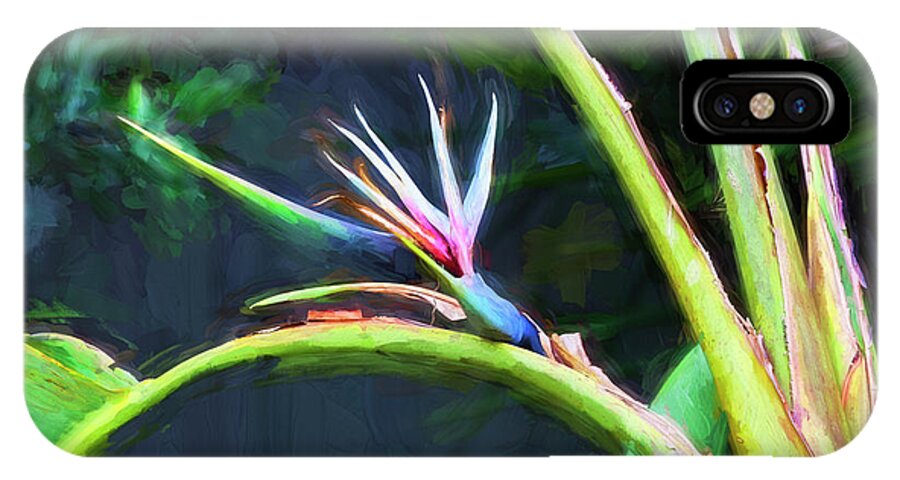 Bird Of Paradise iPhone X Case featuring the photograph Bird Of Paradise Strelitzia Reginae 003 by Rich Franco