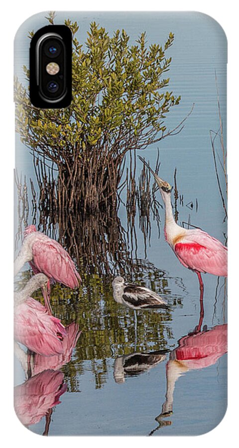 Mangrove Bush iPhone X Case featuring the photograph Birds and Mangrove Bush by Dorothy Cunningham