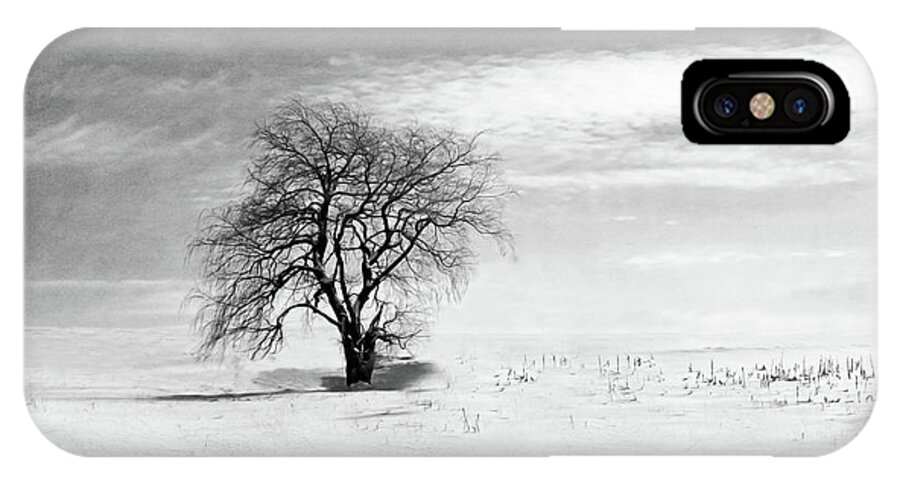 Black And White iPhone X Case featuring the photograph Black and White Tree in Winter by Brooke T Ryan