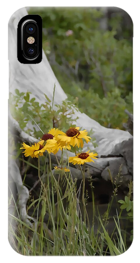 Flower iPhone X Case featuring the photograph Black-Eyed Susan by Jody Lovejoy