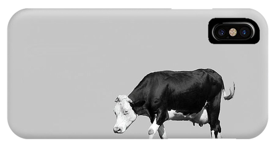 Black Hereford iPhone X Case featuring the photograph Black Hereford by Wim Lanclus