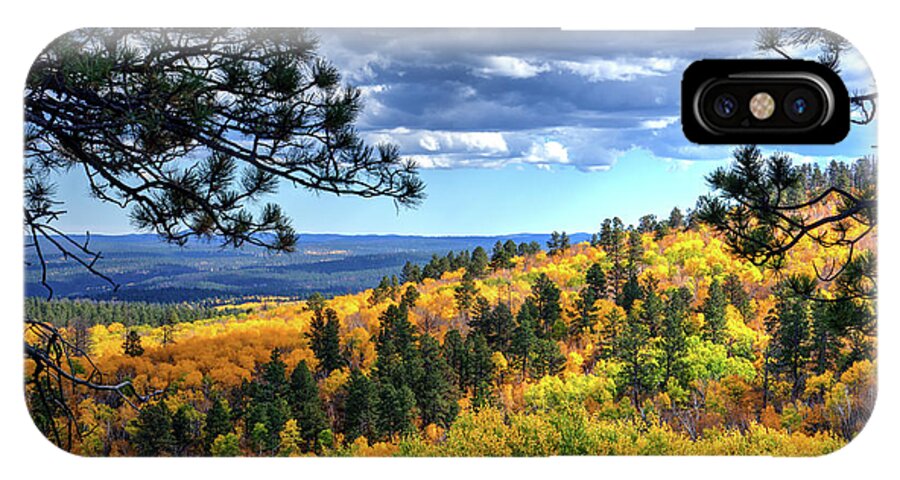 Autumn iPhone X Case featuring the photograph Black Hills Autumn by Fiskr Larsen