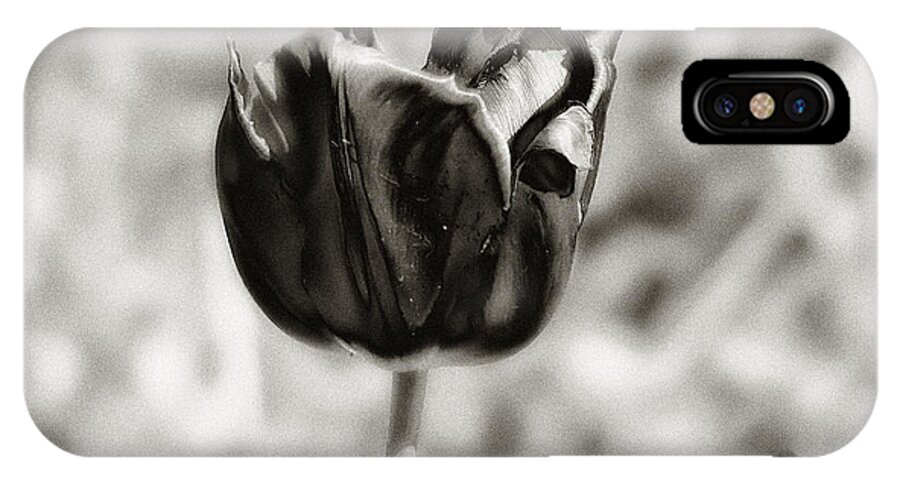 Flower iPhone X Case featuring the photograph Black Tulip by Bill Cannon