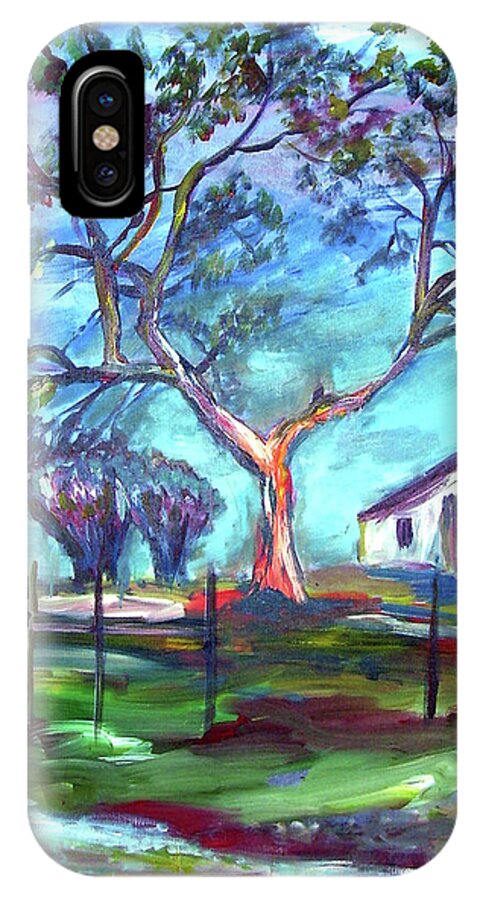 Blanco iPhone X Case featuring the painting Blanco Texas Ranch House by Frank Botello