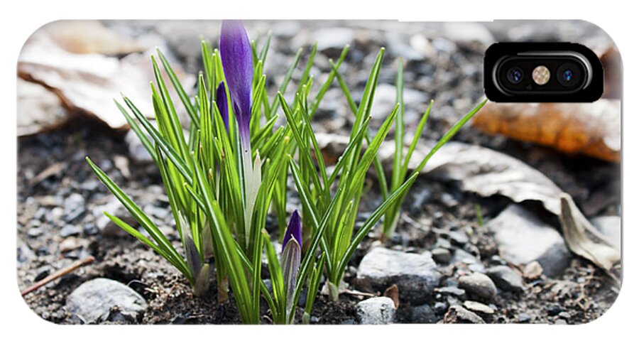 Flower iPhone X Case featuring the photograph Bloom Awaits by Jeff Severson
