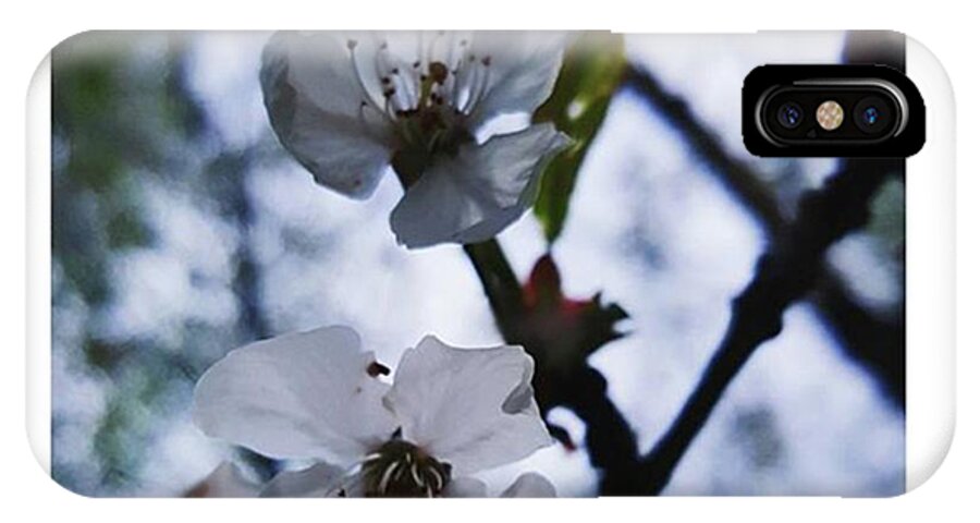 Flower iPhone X Case featuring the photograph #blossom #spring #macro #flower #pretty by Natalie Anne