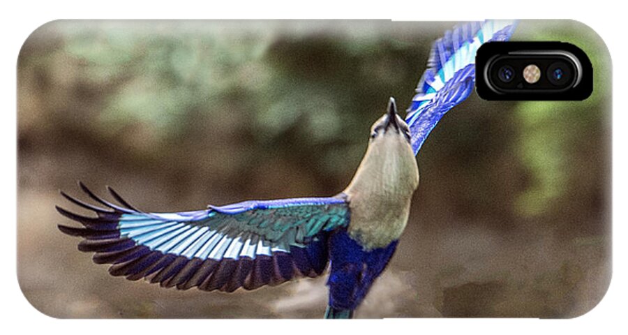 Bird iPhone X Case featuring the photograph Blue-bellied Roller In Flight by William Bitman