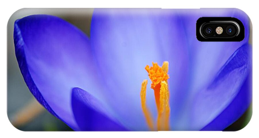 Photography iPhone X Case featuring the photograph Blue Crocus by Larry Ricker