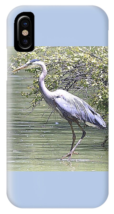 Blue Heron iPhone X Case featuring the photograph Blue Heron by Clarice Lakota