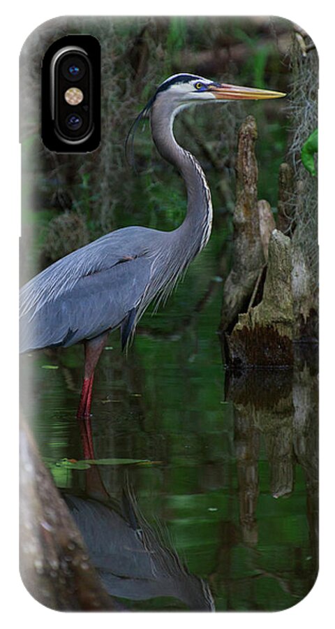 Birds iPhone X Case featuring the photograph Blue Heron by Dillon Kalkhurst