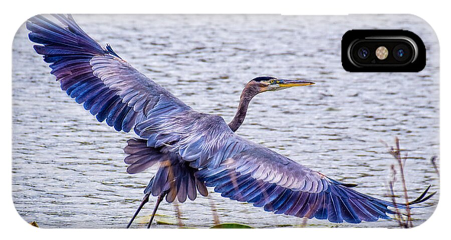 Peggy Franz Photography iPhone X Case featuring the photograph Blue Heron Take Off by Peggy Franz