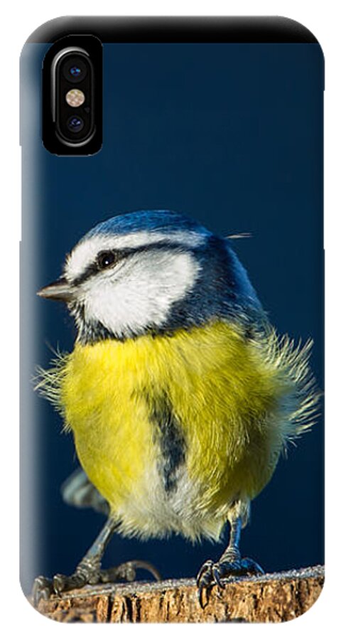 Blue On Blue iPhone X Case featuring the photograph Blue on Blue by Torbjorn Swenelius