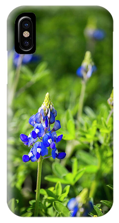 Flower iPhone X Case featuring the photograph Bluebonnets by Ray Silva