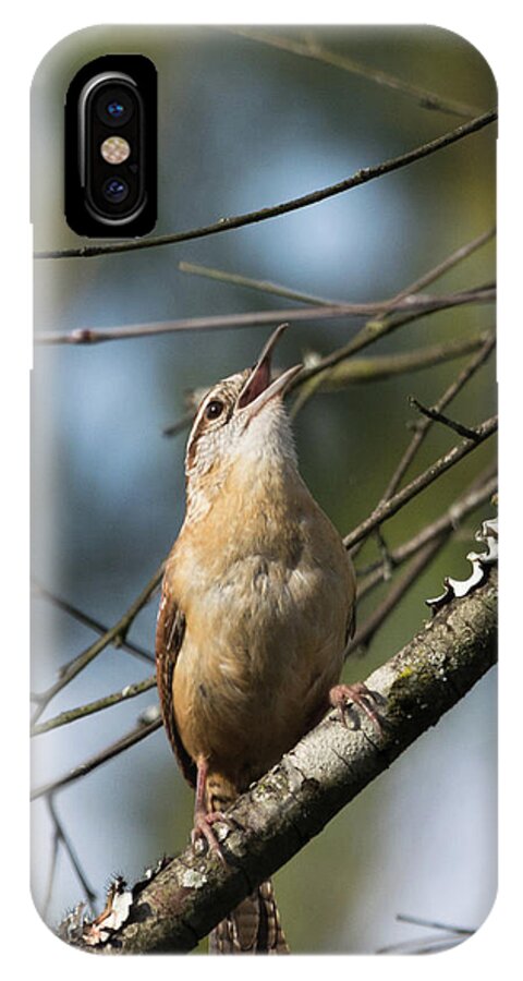 Bird iPhone X Case featuring the photograph Bobolink Singing by John Benedict