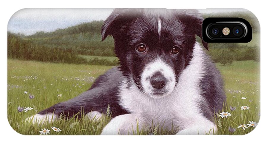 Dog iPhone X Case featuring the painting Border Collie Puppy Painting by Rachel Stribbling
