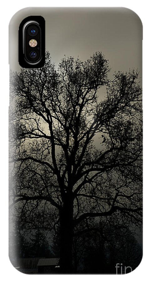 Tree iPhone X Case featuring the photograph Branching Out by David Hillier