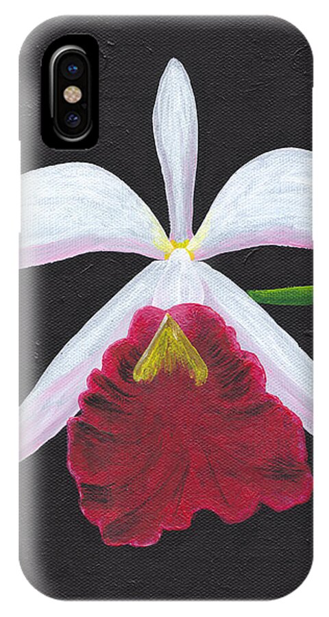 Acrylic iPhone X Case featuring the painting Brassalove Nodosa-Rosita by Martin Valeriano