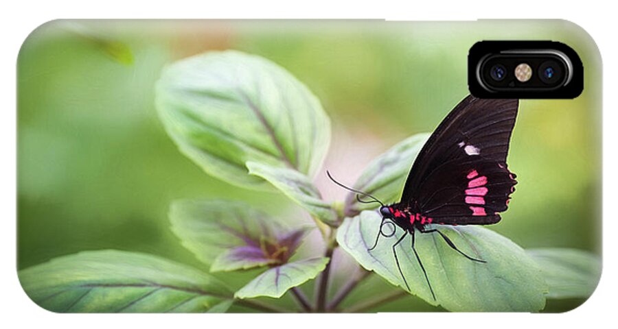 Photograph iPhone X Case featuring the photograph Brave Butterfly by Cindy Lark Hartman
