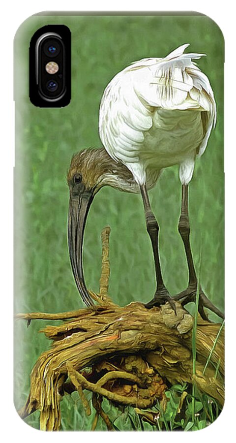 Black-headed Ibis iPhone X Case featuring the digital art Breakfast with the Ibis by Sarah Sever