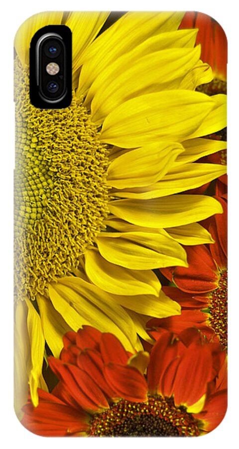 Sunflower iPhone X Case featuring the photograph Brilliant Autumn by Elsa Santoro