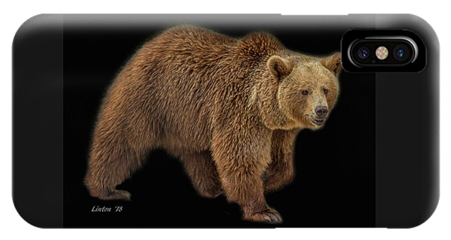 Brown Bear iPhone X Case featuring the photograph Brown Bear 5 by Larry Linton