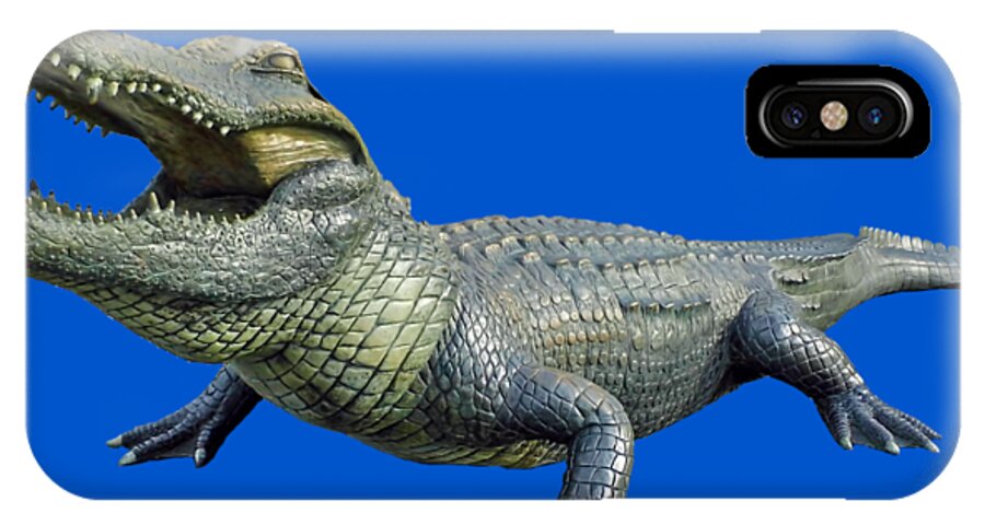The Swamp iPhone X Case featuring the photograph Bull Gator Transparent For T Shirts by D Hackett