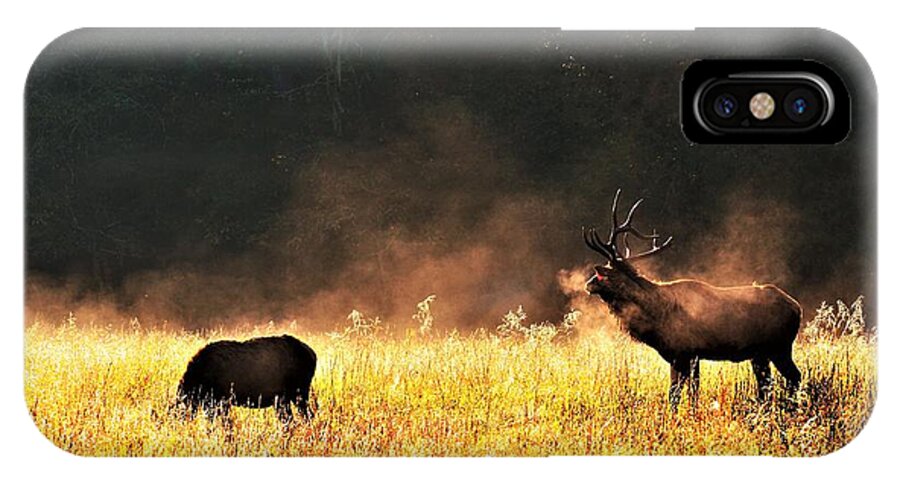 Elk iPhone X Case featuring the photograph Bull with his girl by Chuck Brown