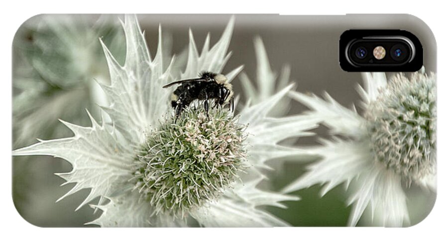 Bumblebee On Thistle Flower iPhone X Case featuring the photograph Bumblebee on Thistle Flower by Victoria Harrington