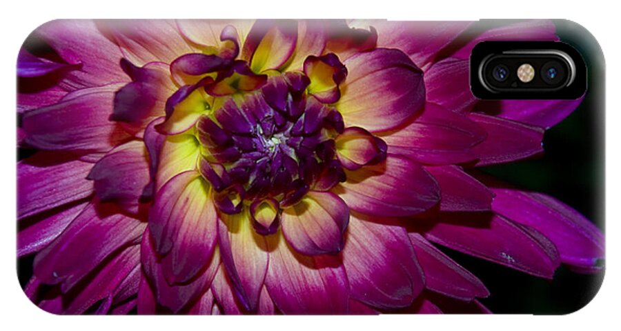 Dahilia iPhone X Case featuring the photograph Burst of Purple by Mark Wiley