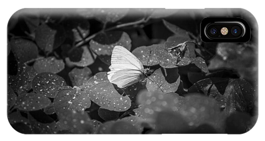  iPhone X Case featuring the photograph Butterfly 8 by Reed Tim