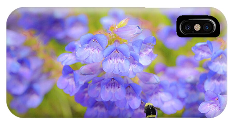 Blue iPhone X Case featuring the photograph Buzzing Around by Steph Gabler