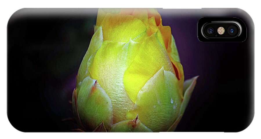 Succulent iPhone X Case featuring the photograph Cactus Flower 7 by Roberta Byram