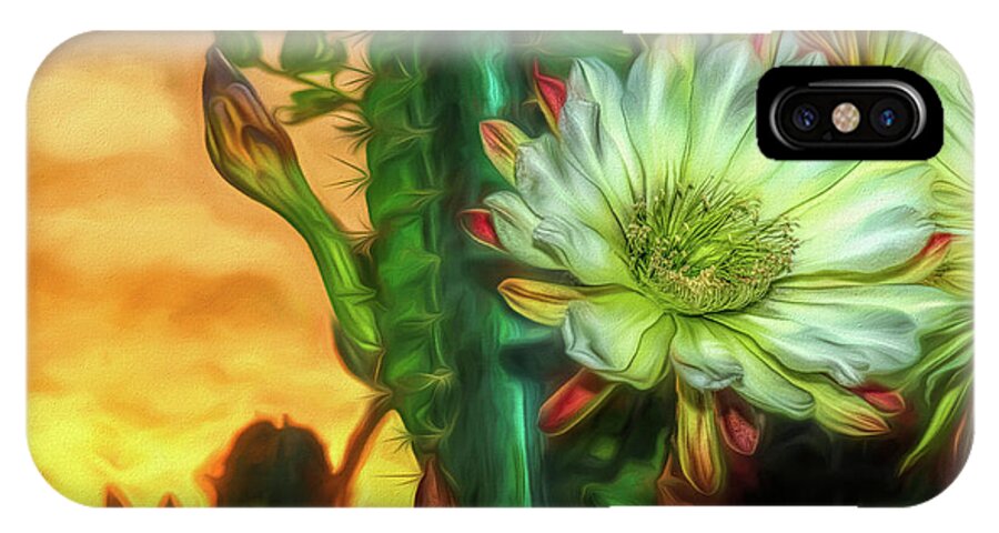 Cactus iPhone X Case featuring the photograph Cactus Flower at Sunrise by Pete Rems