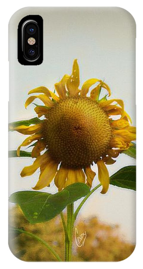 Sunflower iPhone X Case featuring the photograph Californian Tuscany by Cindy Garber Iverson