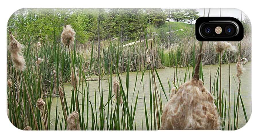 Wetlands iPhone X Case featuring the photograph Cattails by Mary Mikawoz