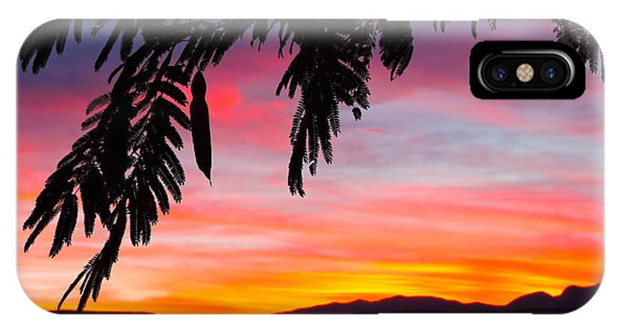 Sunset iPhone X Case featuring the photograph Celebrate by Patricia Haynes