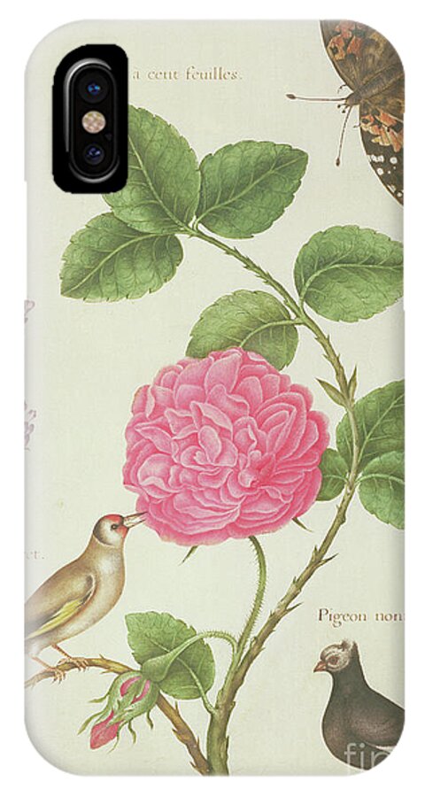 Butterfly iPhone X Case featuring the painting Centifolia Rose, Lavender, Tortoiseshell Butterfly, Goldfinch and Crested Pigeon by Nicolas Robert