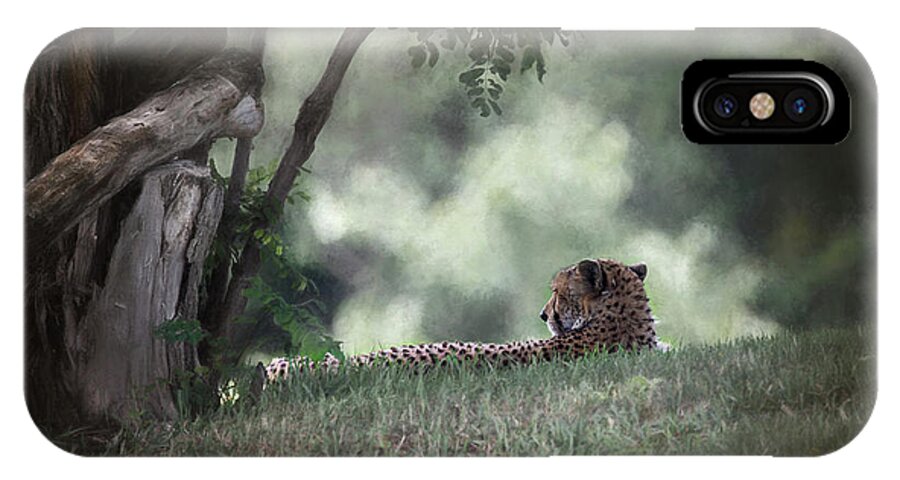 Animals iPhone X Case featuring the digital art Cheetah On Watch by Sharon McConnell