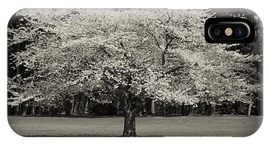 Cherry Blossom Trees iPhone X Case featuring the photograph Cherry Blossom Tree - Ocean County Park by Angie Tirado